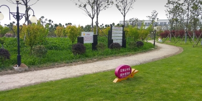 简讯：upay钱包科技跨出国门